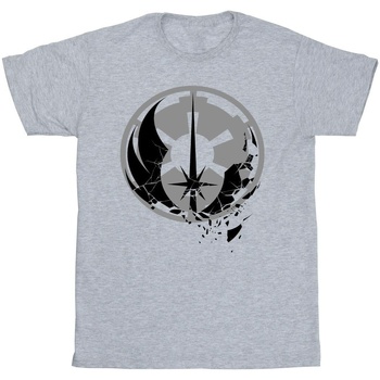 Vêtements Fille T-shirts manches longues Disney Obi-Wan Kenobi Fractured Logos Gris