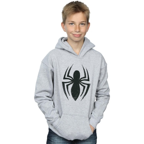 Vêtements Garçon Sweats Marvel Spider-Man Ultimate Spider Logo Gris