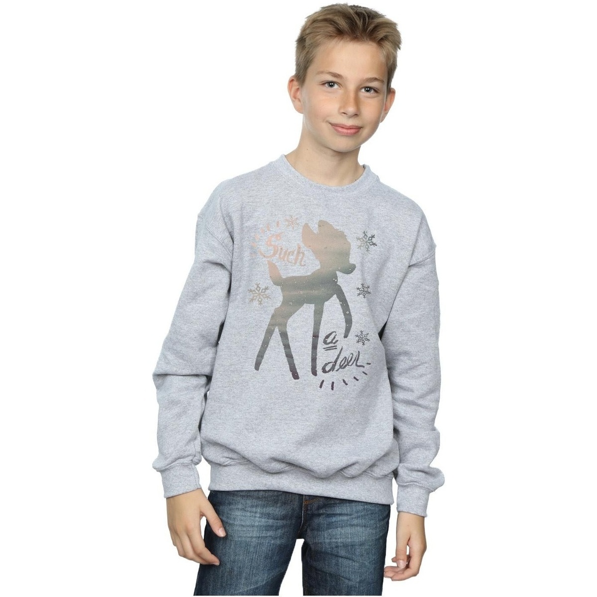 Vêtements Garçon Sweats Disney Bambi Winter Deer Gris