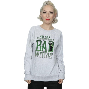 Vêtements Femme Sweats The Wizard Of Oz Good Witch Bad Witch Gris