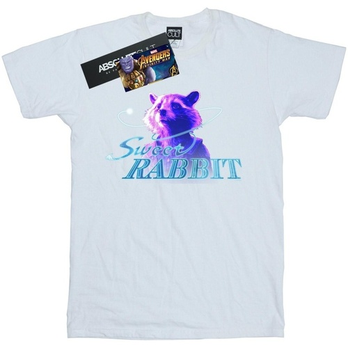 Vêtements Homme T-shirts manches longues Marvel Avengers Infinity War Sweet Rabbit Blanc