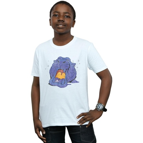 Vêtements Garçon T-shirts manches courtes Disney Aladdin Cave Of Wonders Distressed Blanc