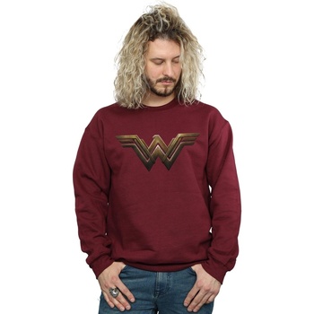 Vêtements Homme Sweats Dc Comics Wonder Woman Logo Multicolore