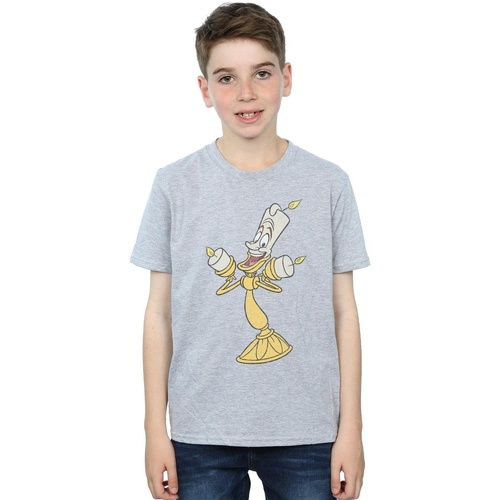 Vêtements Garçon T-shirts manches courtes Disney Beauty And The Beast Lumiere Distressed Gris