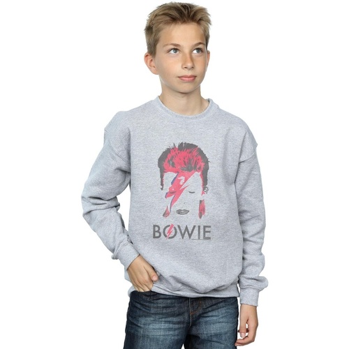 Vêtements Garçon Sweats David Bowie Salle à manger Gris
