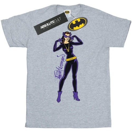 Vêtements Homme T-shirts manches longues Dc Comics Catwoman Happy Pose Gris
