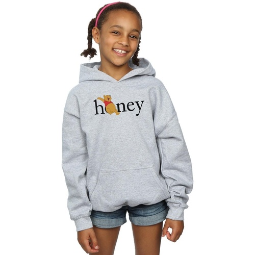 Vêtements Fille Sweats Disney Winnie The Pooh Honey Gris