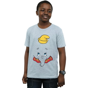 Vêtements Garçon T-shirts manches courtes Disney Dumbo Face Gris