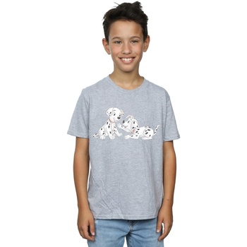 Vêtements Garçon T-shirts manches courtes Disney 101 Dalmatians Watercolour Friends Gris