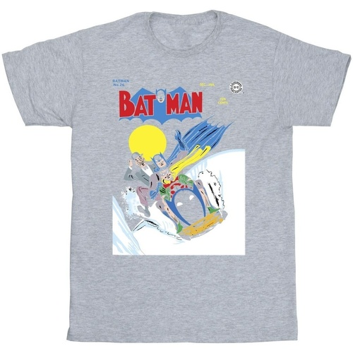 Vêtements Homme T-shirts manches longues Dc Comics Batman Snow Mobile Gris