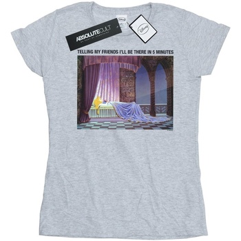 Vêtements Femme T-shirts manches longues Disney Sleeping Beauty I'll Be There In 5 Gris