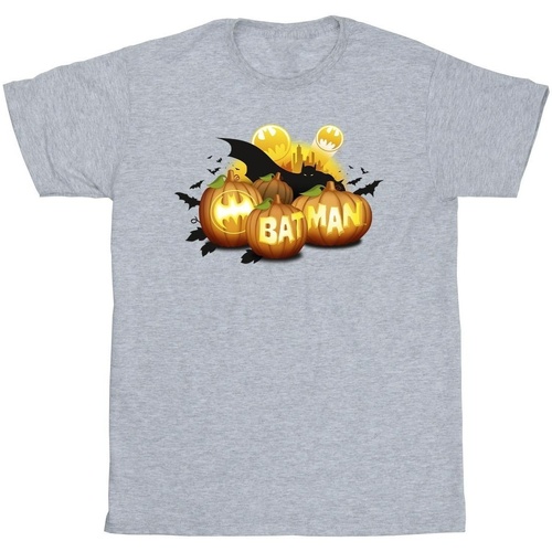 Vêtements Homme T-shirts manches longues Dc Comics Batman Pumpkins Gris