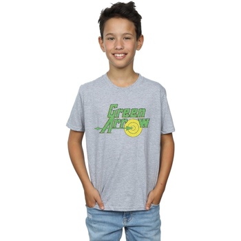 Vêtements Garçon T-shirts manches courtes Dc Comics Green Arrow Crackle Logo Gris