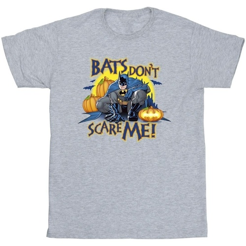 Vêtements Homme T-shirts manches longues Dc Comics Batman Bats Don't Scare Me Gris