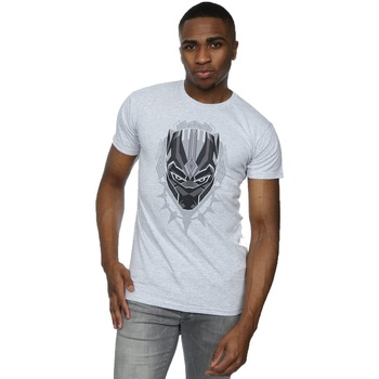 Vêtements Homme New year new you Marvel  Gris