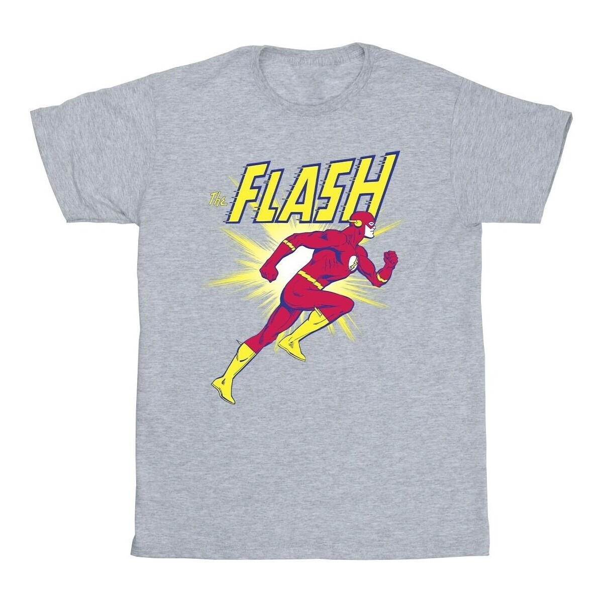 Vêtements Garçon T-shirts manches courtes Dc Comics The Flash Running Gris