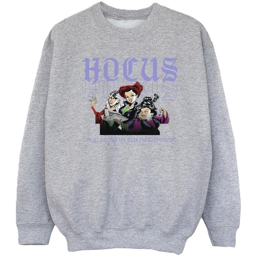 Vêtements Fille Sweats Disney Hocus Pocus Hallows Eve Gris