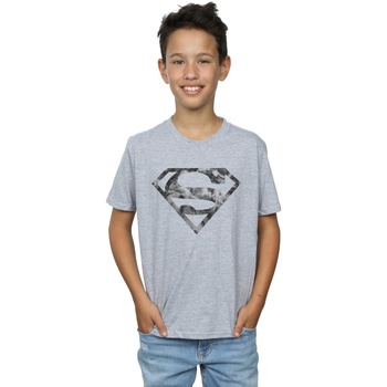 Vêtements Garçon T-shirts manches courtes Dc Comics Superman Marble Logo Gris