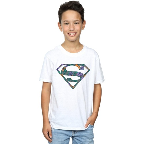 Vêtements Garçon T-shirts manches courtes Dc Comics Superman Floral Logo 1 Blanc