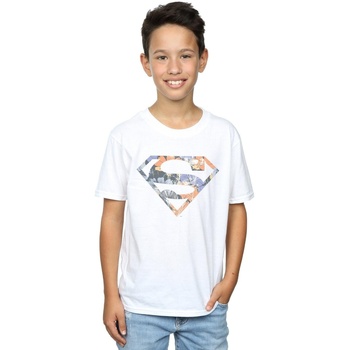 Vêtements Garçon T-shirts manches courtes Dc Comics Superman Floral Logo 2 Blanc
