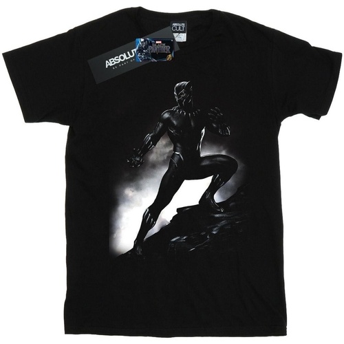 Vêtements Homme T-shirts manches longues Marvel Black Panther Standing Pose Noir