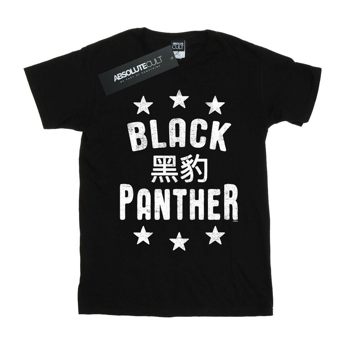 Vêtements Homme T-shirts manches longues Marvel Black Panther Legends Noir