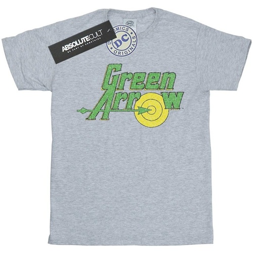 Vêtements Fille T-shirts manches longues Dc Comics Green Arrow Crackle Logo Gris