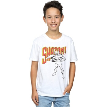 Vêtements Garçon T-shirts manches courtes Dc Comics Shazam Mono Action Pose Blanc