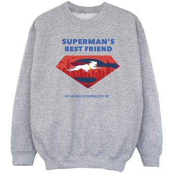 Vêtements Fille Sweats Dc Comics DC League Of Super-Pets Superman's Best Friend Gris