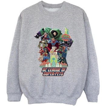 Vêtements Fille Sweats Dc Comics DC League Of Super-Pets Super Powered Pack Gris