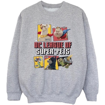 Vêtements Fille Sweats Dc Comics DC League Of Super-Pets Profile Gris