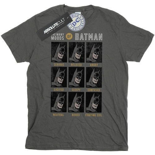 Vêtements Fille T-shirts manches longues Dc Comics The Many Moods Of Batman Multicolore