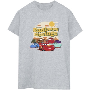 Vêtements Femme T-shirts manches longues Disney Cars Radiator Springs Group Gris