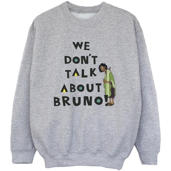 Vêtements Garçon Sweats Disney Encanto We Dont Talk About Bruno Boy Gris