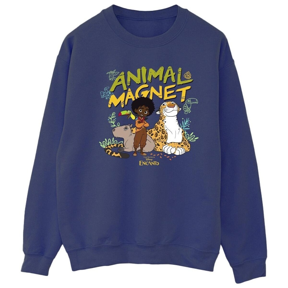 Vêtements Femme Sweats Disney Encanto Animal Magnet Bleu