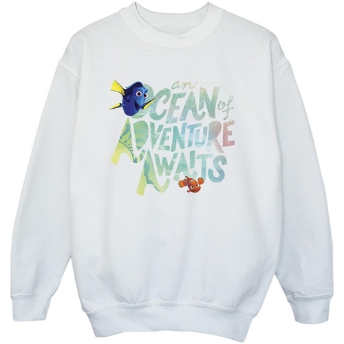 Vêtements Garçon Sweats Disney Finding Dory Ocean Of Adventure Blanc