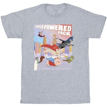 Vêtements Fille T-shirts manches longues Dc Comics DC Super Pets Super Powered Pack Gris