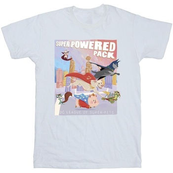 Vêtements Fille T-shirts manches longues Dc Comics DC Super Pets Super Powered Pack Blanc