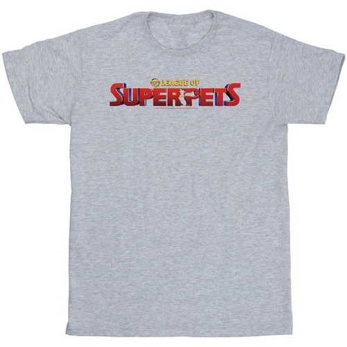 Vêtements Fille T-shirts manches longues Dc Comics DC League Of Super-Pets Movie Logo Gris