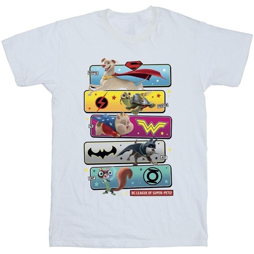 Vêtements Fille T-shirts manches longues Dc Comics DC League Of Super-Pets Character Pose Blanc