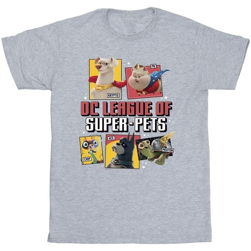 Vêtements Fille T-shirts manches longues Dc Comics DC League Of Super-Pets Profile Gris