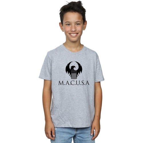 Vêtements Garçon T-shirts manches courtes Fantastic Beasts MACUSA Logo Gris