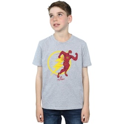 Vêtements Garçon T-shirts manches courtes Dc Comics The Flash Running Emblem Gris
