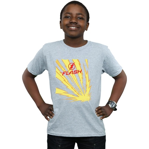 Vêtements Garçon T-shirts manches courtes Dc Comics The Flash Lightning Bolts Gris