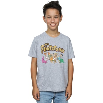 Vêtements Garçon T-shirts manches courtes The Flintstones Group Distressed Gris