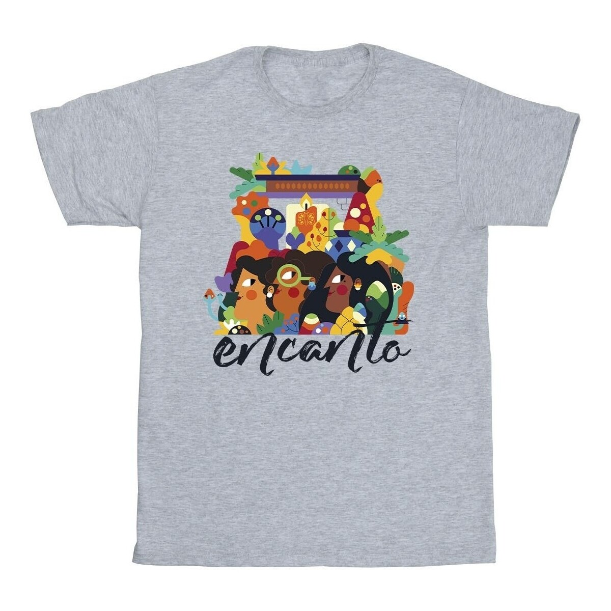 Vêtements Fille T-shirts manches longues Disney Encanto Sisters Gris