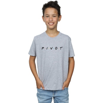 Vêtements Garçon T-shirts manches courtes Friends Pivot Logo Gris