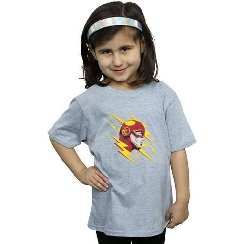 Vêtements Fille T-shirts manches longues Dc Comics The Flash Lightning Portrait Gris