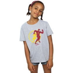 Vêtements Fille T-shirts manches longues Dc Comics The Flash Running Emblem Gris