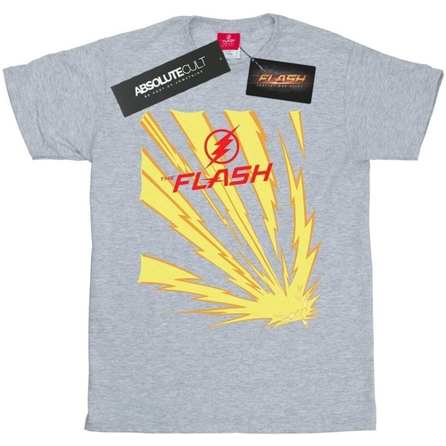 Vêtements Fille T-shirts manches longues Dc Comics The Flash Lightning Bolts Gris